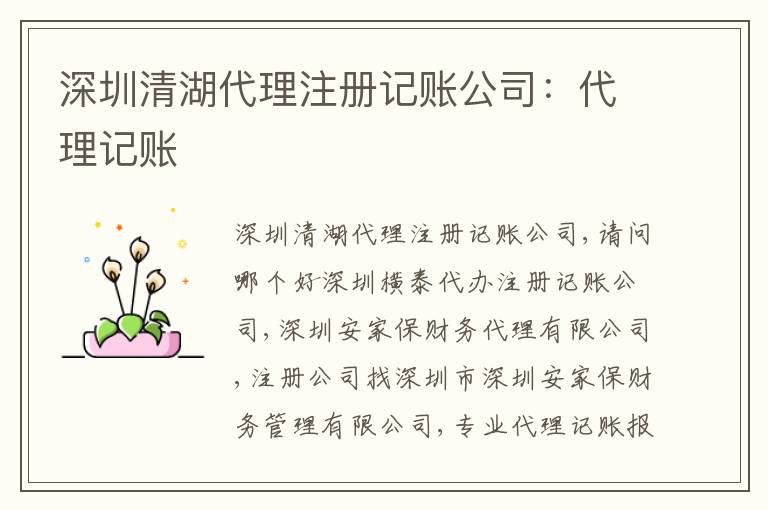 深圳清湖代理注冊記賬公司：代理記賬