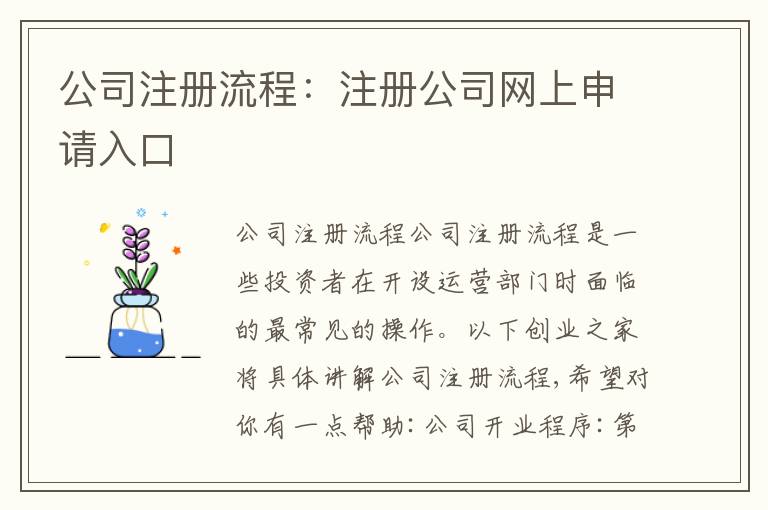 公司注冊流程：注冊公司網(wǎng)上申請入口