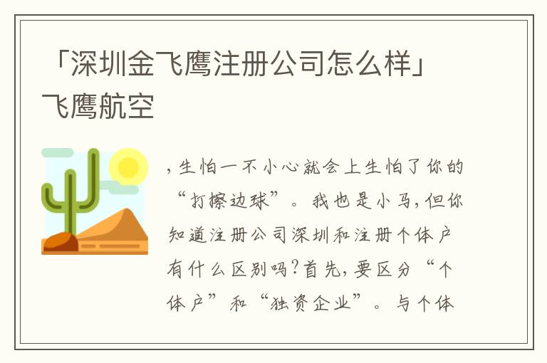 「深圳金飛鷹注冊(cè)公司怎么樣」飛鷹航空