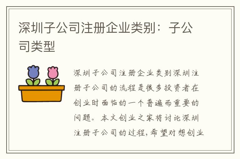 深圳子公司注冊企業(yè)類別：子公司類型
