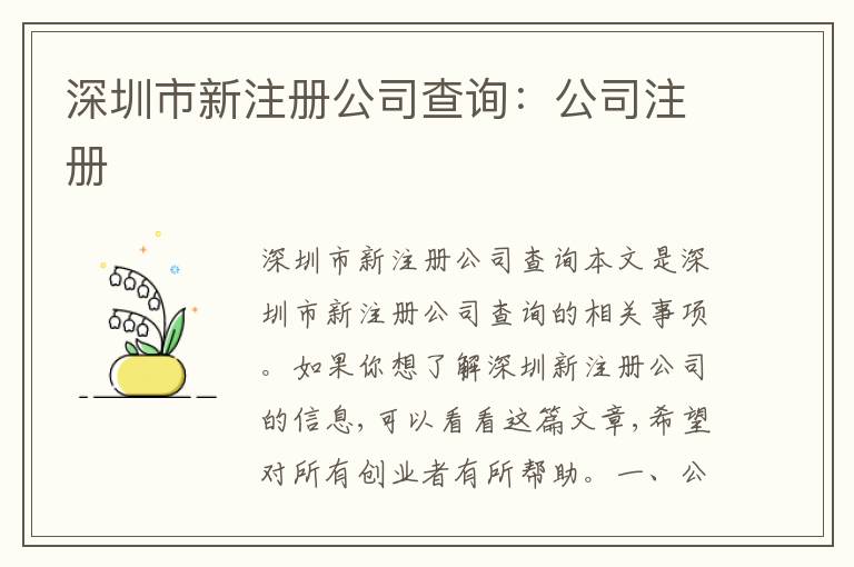 深圳市新注冊公司查詢：公司注冊