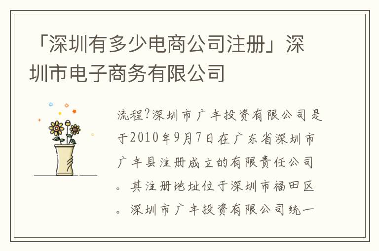 「深圳有多少電商公司注冊(cè)」深圳市電子商務(wù)有限公司