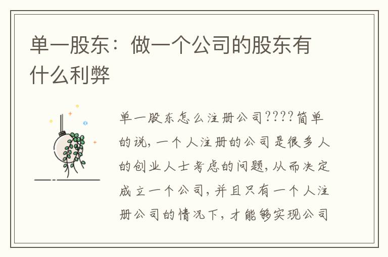 單一股東：做一個公司的股東有什么利弊