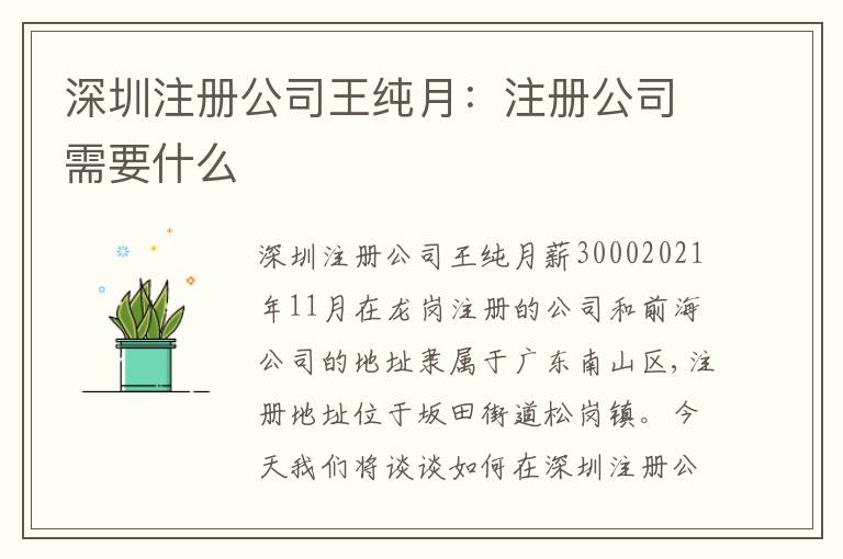 深圳注冊(cè)公司王純?cè)拢鹤?cè)公司需要什么