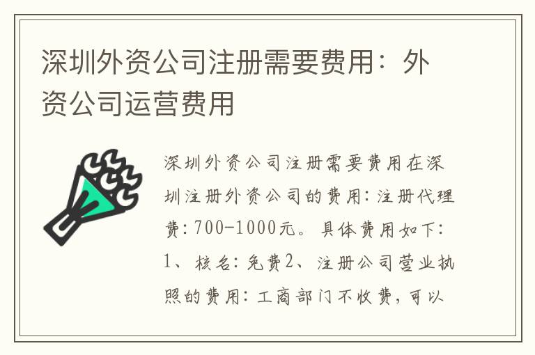 深圳外資公司注冊需要費用：外資公司運營費用