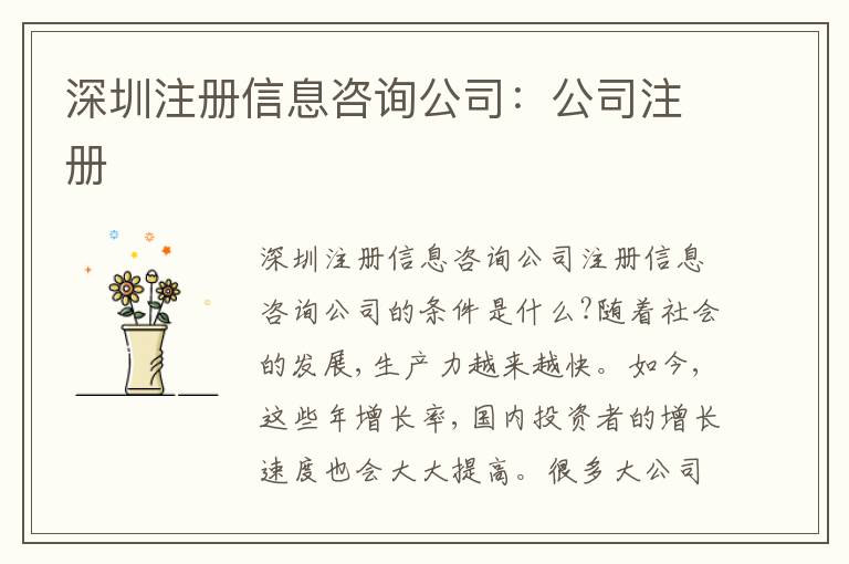 深圳注冊信息咨詢公司：公司注冊
