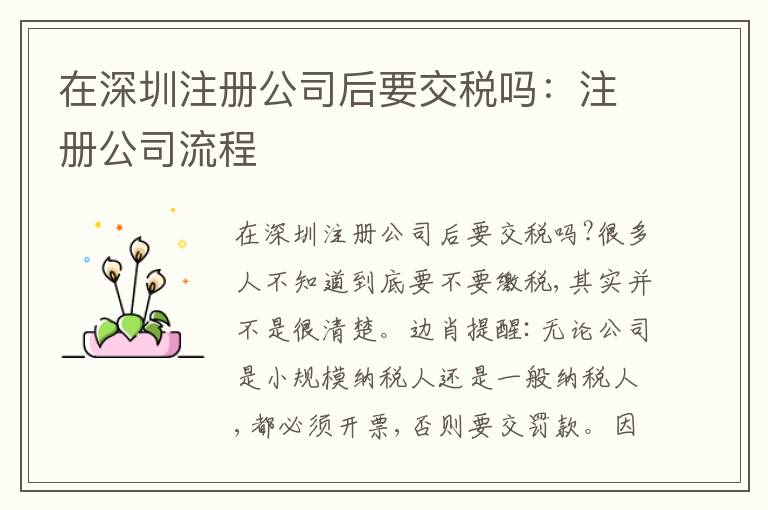 在深圳注冊(cè)公司后要交稅嗎：注冊(cè)公司流程