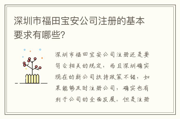 深圳市福田寶安公司注冊(cè)的基本要求有哪些？