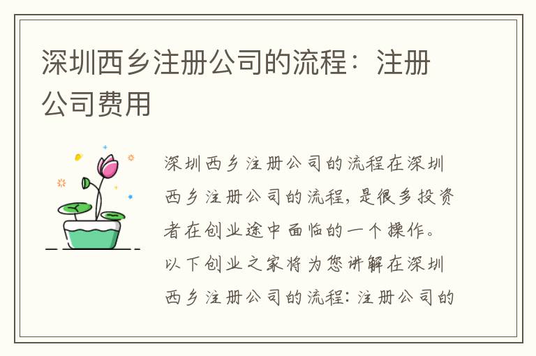 深圳西鄉(xiāng)注冊公司的流程：注冊公司費用