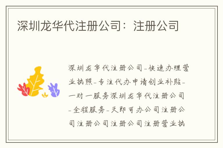 深圳龍華代注冊公司：注冊公司