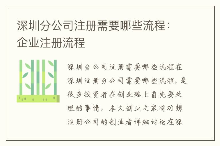 深圳分公司注冊需要哪些流程：企業(yè)注冊流程