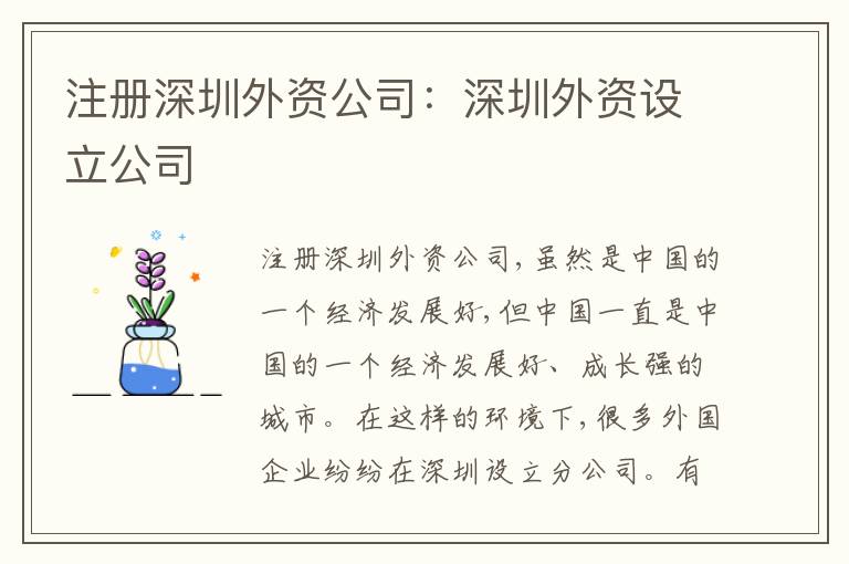 注冊深圳外資公司：深圳外資設(shè)立公司