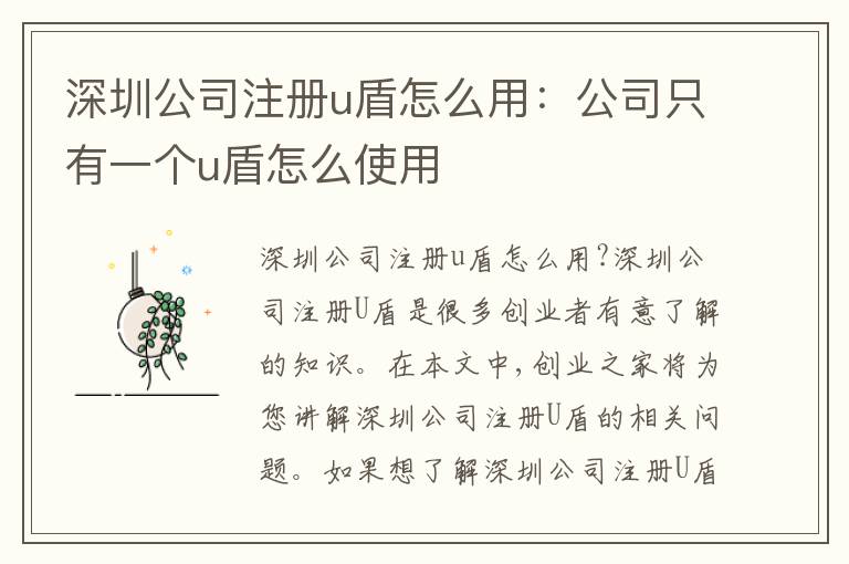 深圳公司注冊(cè)u(píng)盾怎么用：公司只有一個(gè)u盾怎么使用