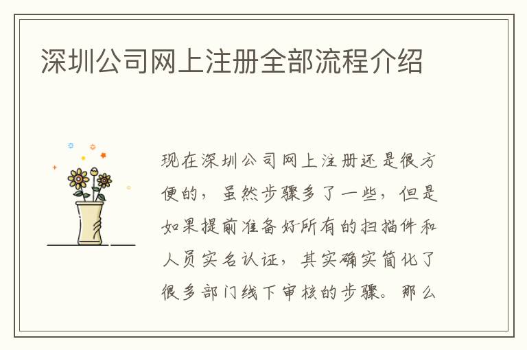 深圳公司網(wǎng)上注冊(cè)全部流程介紹