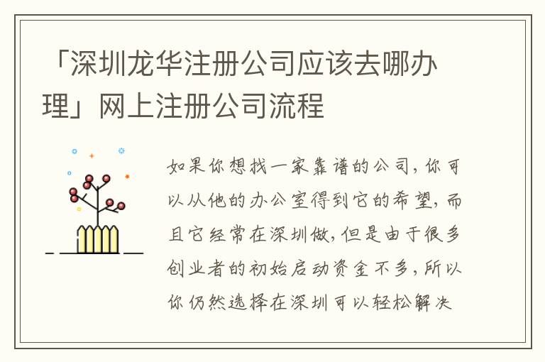 「深圳龍華注冊公司應該去哪辦理」網(wǎng)上注冊公司流程