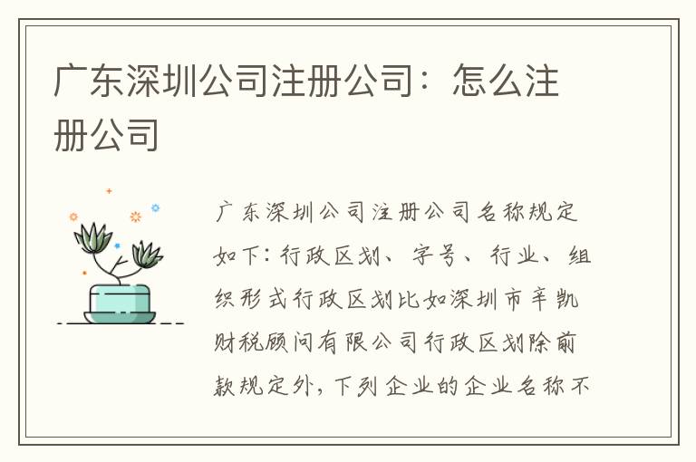 廣東深圳公司注冊公司：怎么注冊公司