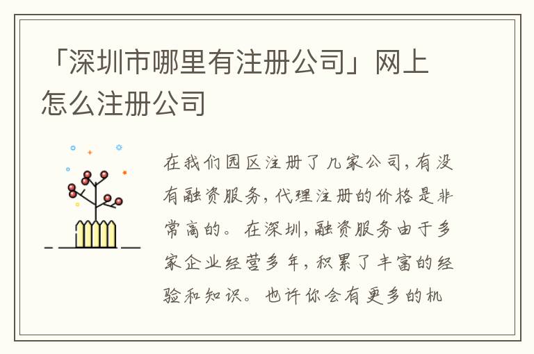 「深圳市哪里有注冊公司」網(wǎng)上怎么注冊公司