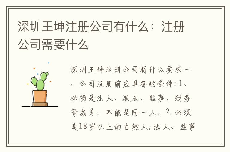 深圳王坤注冊公司有什么：注冊公司需要什么