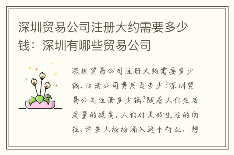 深圳貿(mào)易公司注冊大約需要多少錢：深圳有哪些貿(mào)易公司