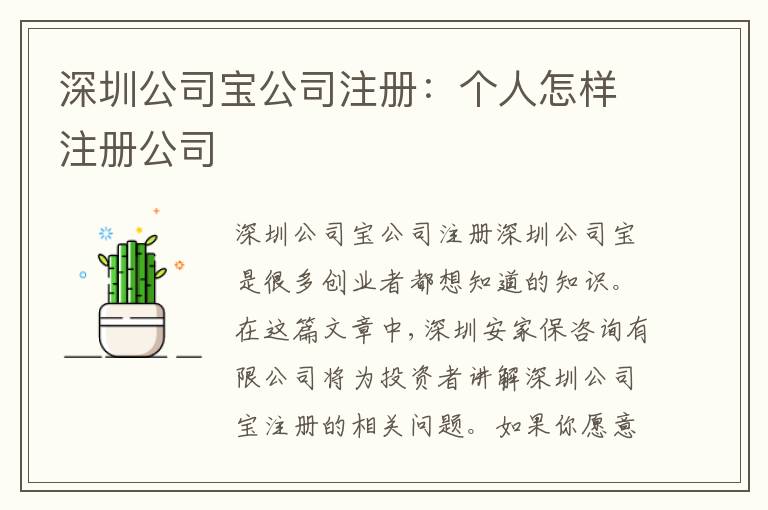 深圳公司寶公司注冊：個人怎樣注冊公司