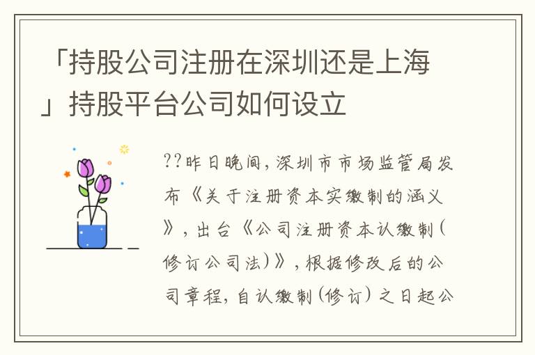 「持股公司注冊(cè)在深圳還是上?！钩止善脚_(tái)公司如何設(shè)立