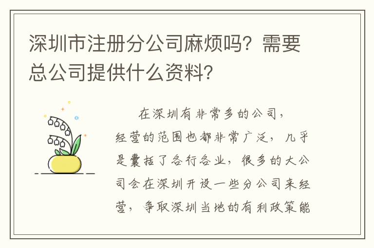 深圳市注冊分公司麻煩嗎？需要總公司提供什么資料？