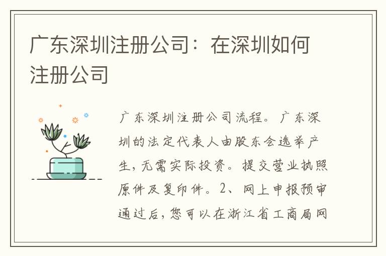 廣東深圳注冊(cè)公司：在深圳如何注冊(cè)公司