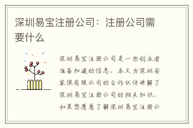 深圳易寶注冊公司：注冊公司需要什么