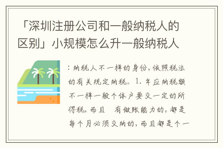 「深圳注冊公司和一般納稅人的區(qū)別」小規(guī)模怎么升一般納稅人