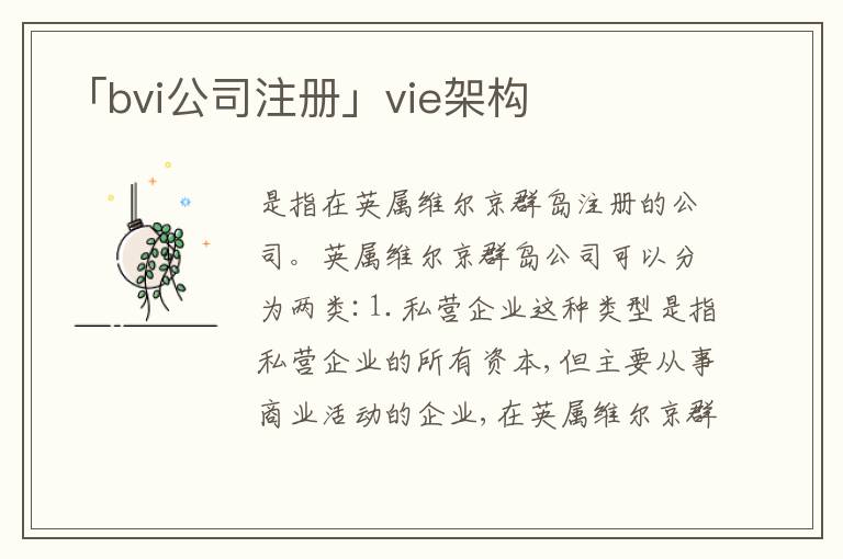 「bvi公司注冊」vie架構(gòu)