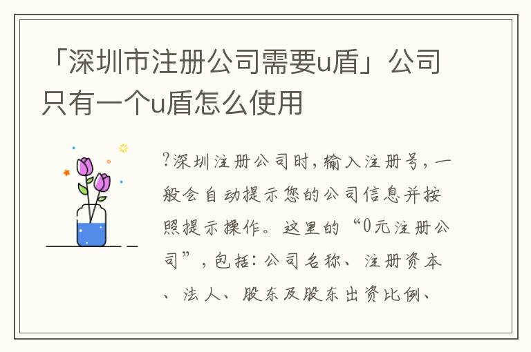 「深圳市注冊公司需要u盾」公司只有一個u盾怎么使用