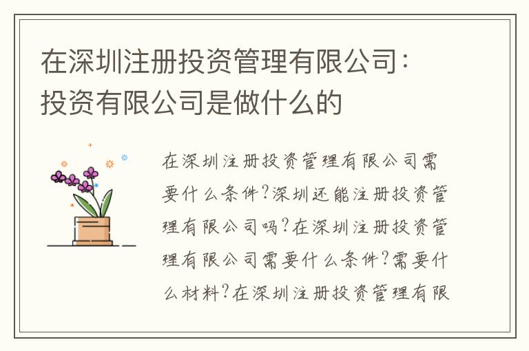 在深圳注冊投資管理有限公司：投資有限公司是做什么的