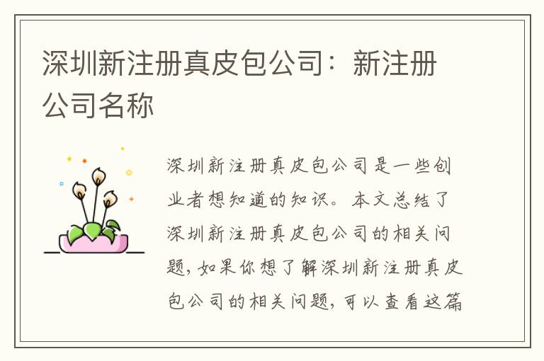深圳新注冊真皮包公司：新注冊公司名稱