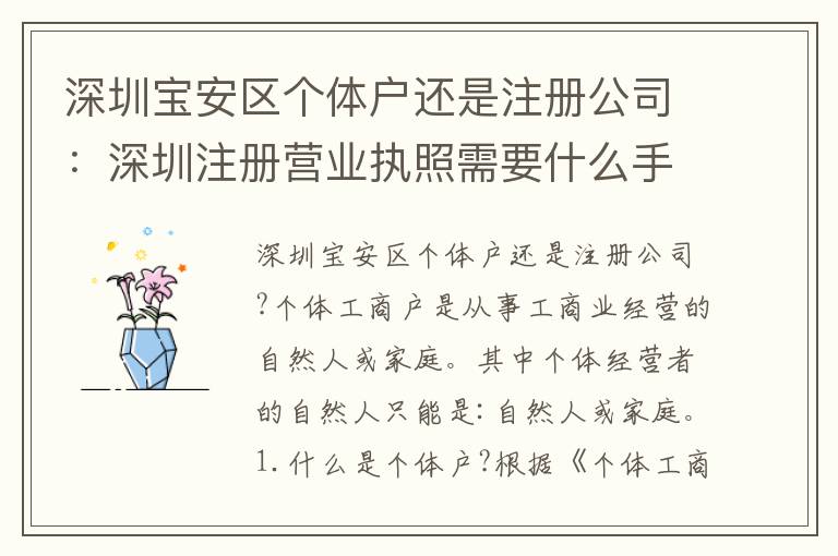 深圳寶安區(qū)個(gè)體戶還是注冊(cè)公司：深圳注冊(cè)營(yíng)業(yè)執(zhí)照需要什么手續(xù)