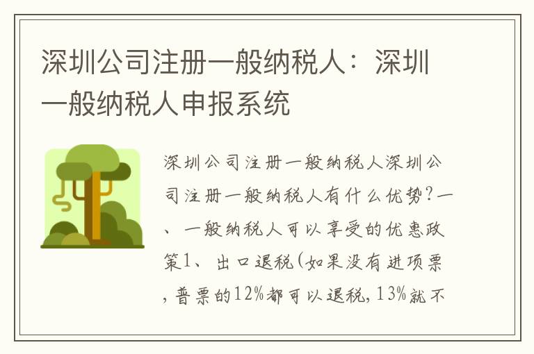深圳公司注冊一般納稅人：深圳一般納稅人申報系統(tǒng)