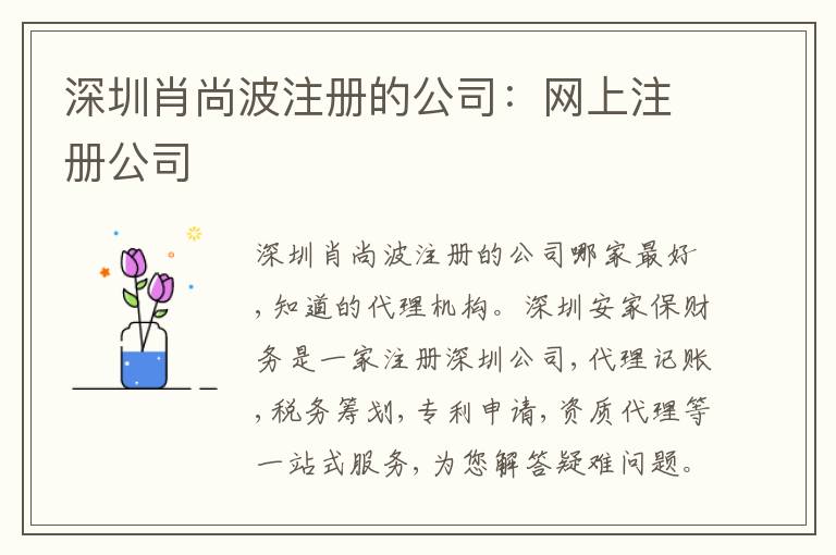深圳肖尚波注冊的公司：網(wǎng)上注冊公司