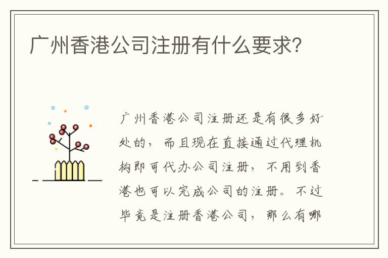 廣州香港公司注冊有什么要求？
