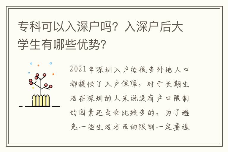 ?？瓶梢匀肷顟魡幔咳肷顟艉蟠髮W(xué)生有哪些優(yōu)勢？