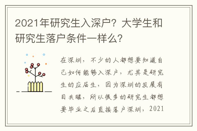 2021年研究生入深戶？大學生和研究生落戶條件一樣么？
