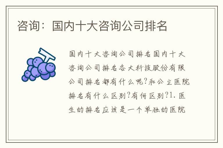 咨詢：國(guó)內(nèi)十大咨詢公司排名