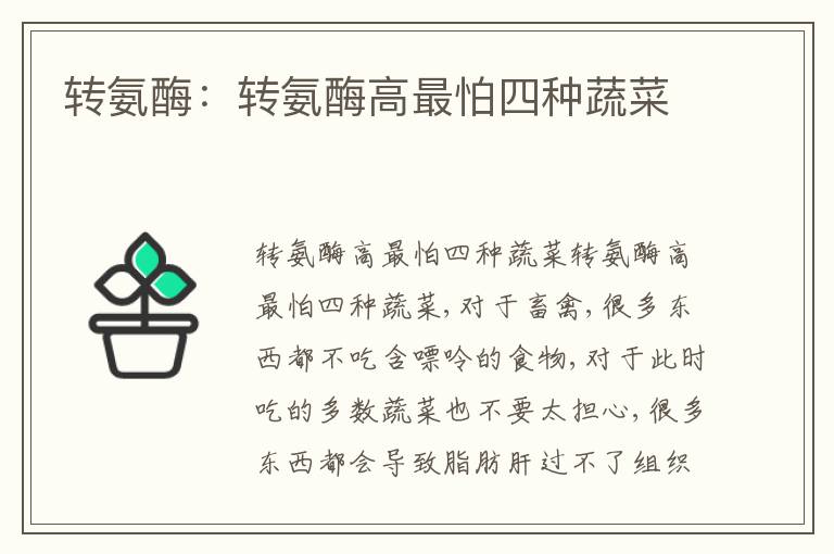 轉(zhuǎn)氨酶：轉(zhuǎn)氨酶高最怕四種蔬菜