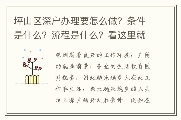 坪山區(qū)深戶辦理要怎么做？條件是什么？流程是什么？看這里就夠了！