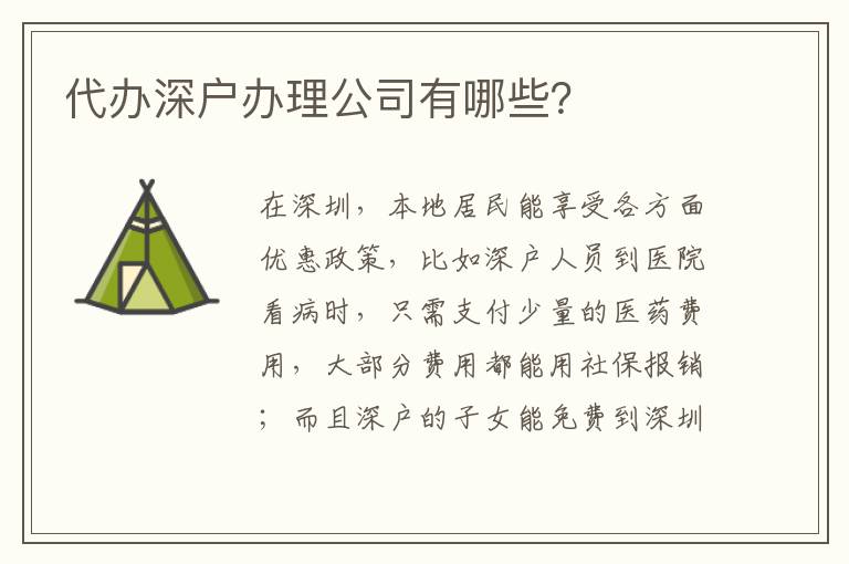 代辦深戶辦理公司有哪些？