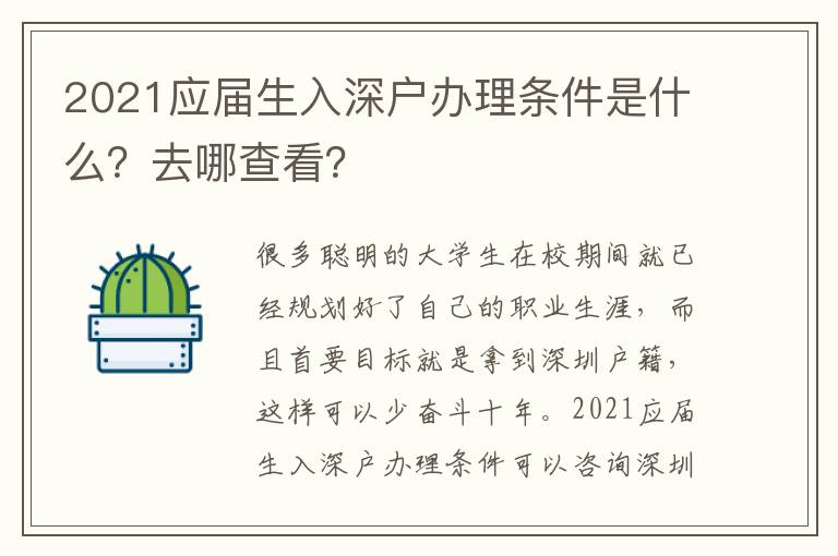 2021應屆生入深戶辦理條件是什么？去哪查看？