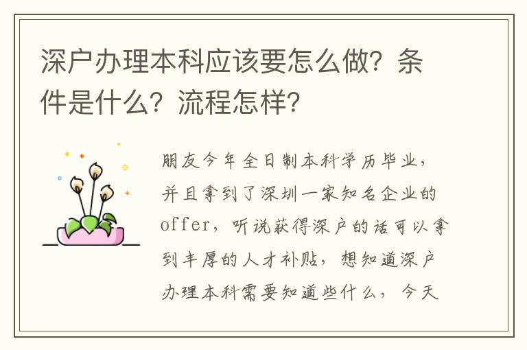 深戶辦理本科應(yīng)該要怎么做？條件是什么？流程怎樣？