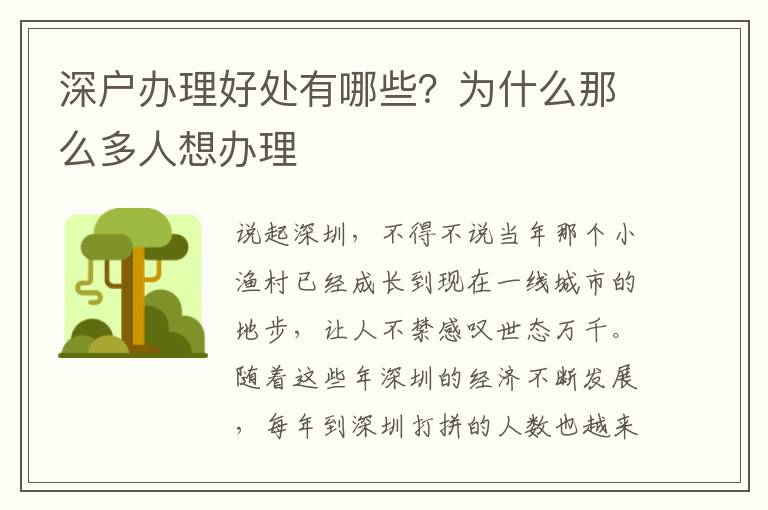深戶辦理好處有哪些？為什么那么多人想辦理