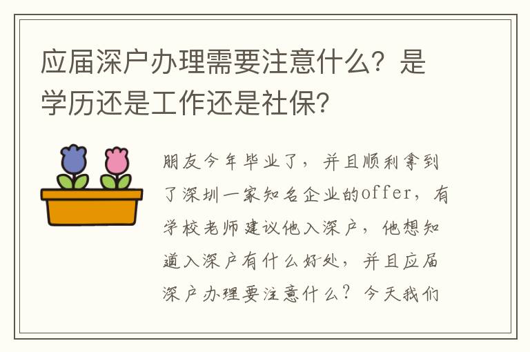 應屆深戶辦理需要注意什么？是學歷還是工作還是社保？