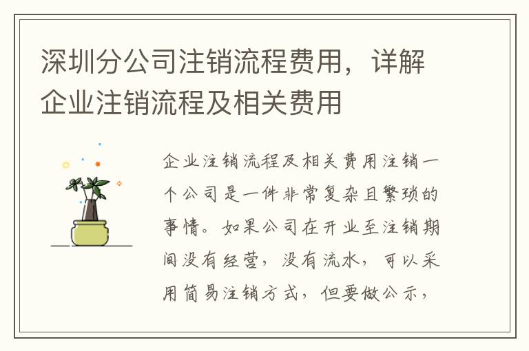 深圳分公司注銷流程費用，詳解企業(yè)注銷流程及相關(guān)費用