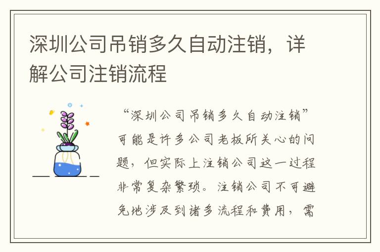 深圳公司吊銷多久自動(dòng)注銷，詳解公司注銷流程