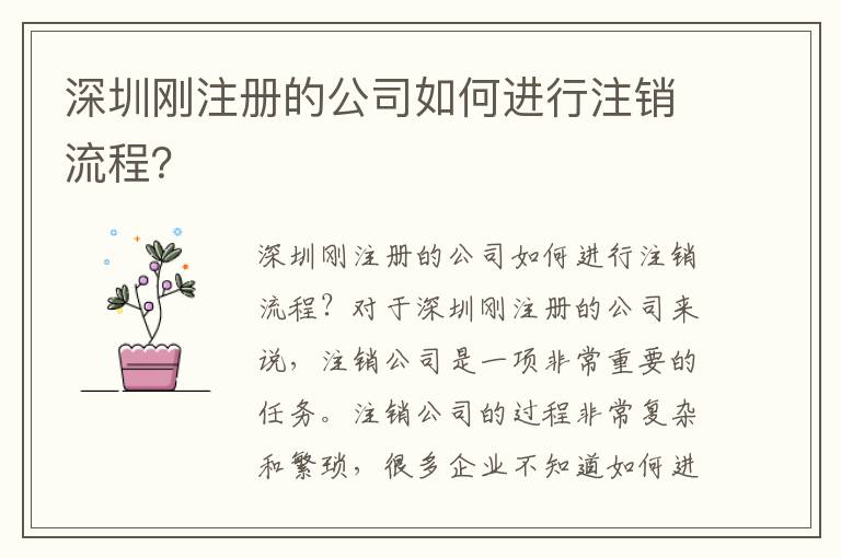 深圳剛注冊(cè)的公司如何進(jìn)行注銷流程？